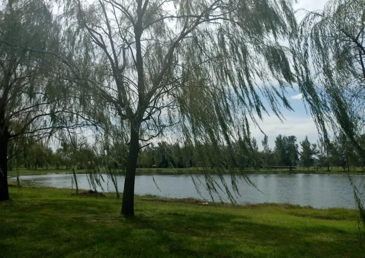 Laguna